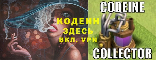 кокс Арсеньев