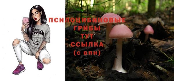 кокс Арсеньев