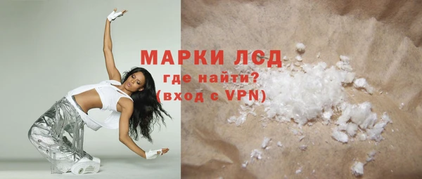 индика Аркадак