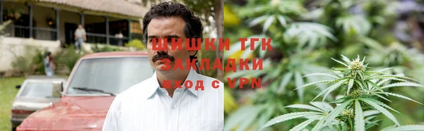 индика Аркадак