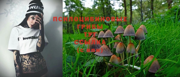 индика Аркадак