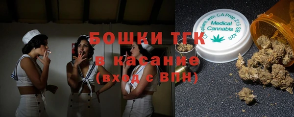 индика Аркадак