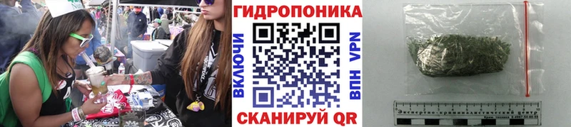 Каннабис семена  купить закладку  Ялта 
